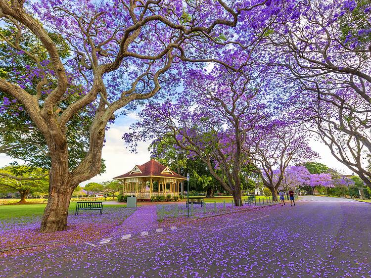 Brisbane, QLD Brisbane, QLD