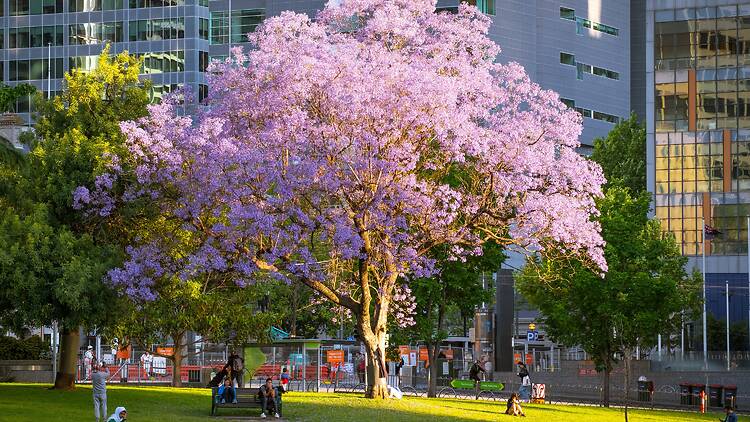 Melbourne, VIC Melbourne, VIC