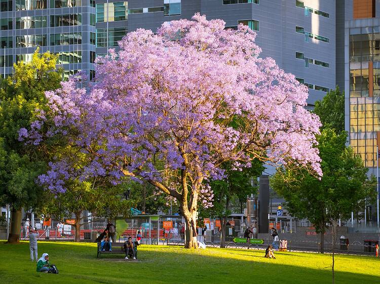 Melbourne, VIC Melbourne, VIC