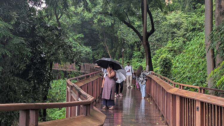 Malabar Hill Elevated Nature Trail Malabar Hill Elevated Nature Trail