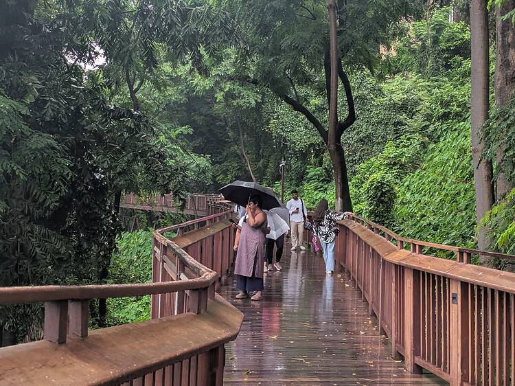 Malabar Hill Elevated Nature Trail Malabar Hill Elevated Nature Trail