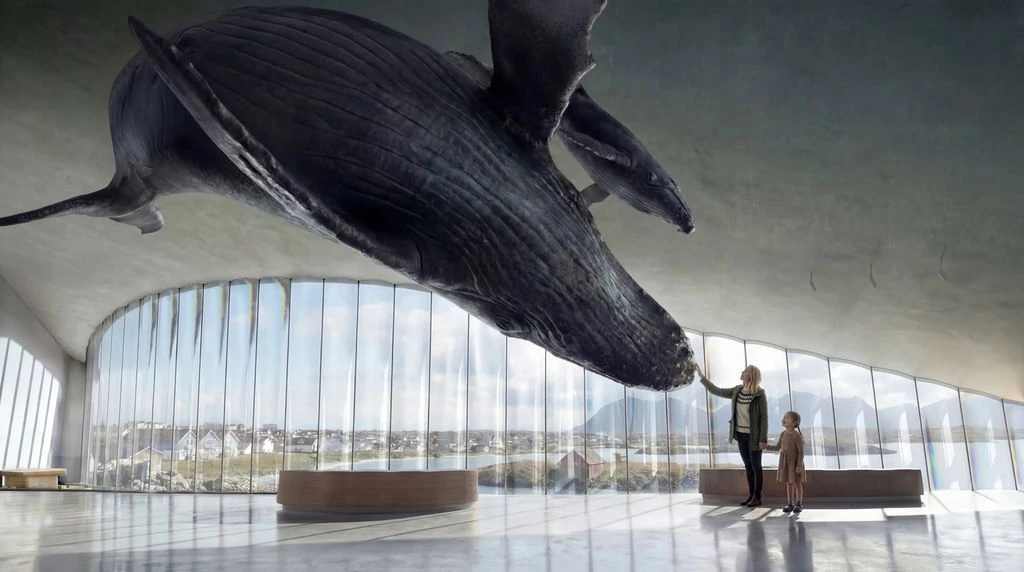 The Whale Museum