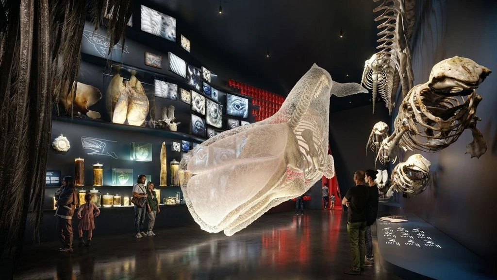 | The Whale Museum
