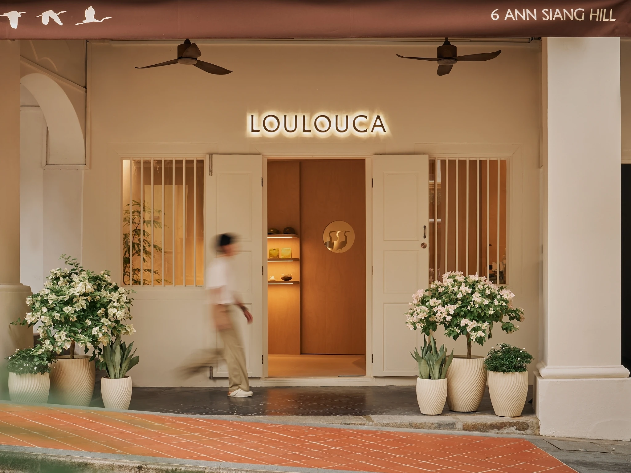 Loulouca