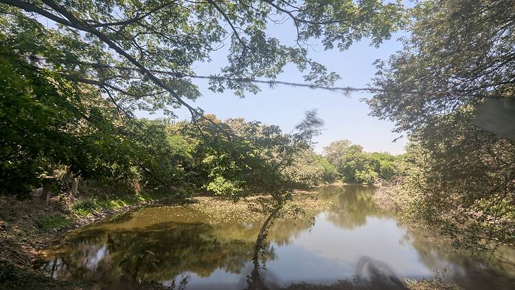 Maharashtra Nature Park Maharashtra Nature Park