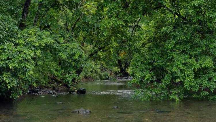 Sanjay Gandhi National Park Sanjay Gandhi National Park