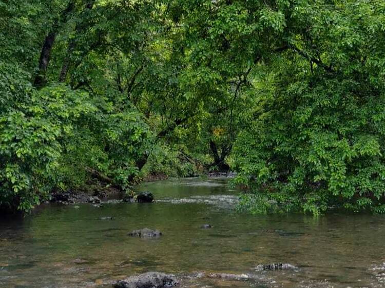 Sanjay Gandhi National Park Sanjay Gandhi National Park