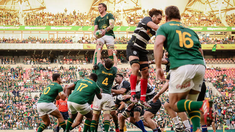 Springboks take on the All Blacks in Rugby’s Greatest Rivalry Tour Springboks vs All Blacks