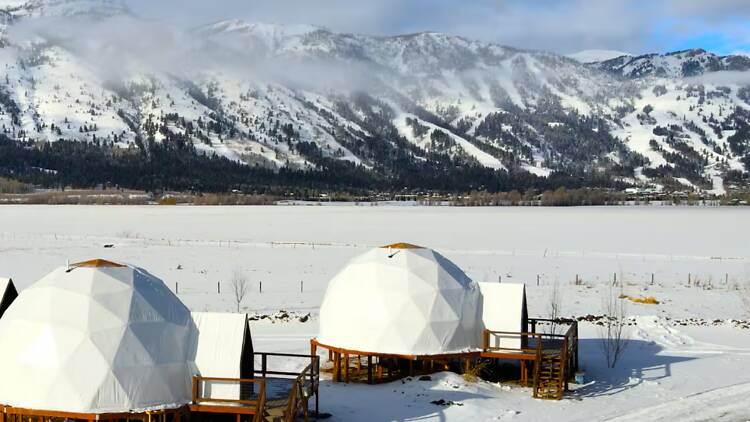 Best for an extraordinary experience: The dreamy dome in the Wilson outskirts Best for an extraordinary experience: The dreamy dome in the Wilson outskirts