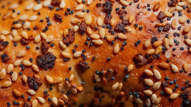 Close-up of a New York bagel Close-up of a New York bagel