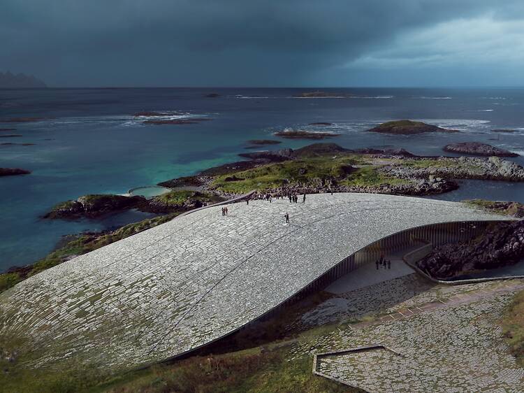 A spectacular new museum dedicated to whales is opening in Europe next year