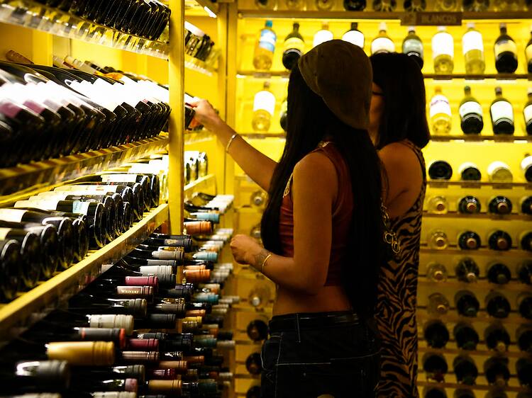 How to Choose a Wine: A Practical Guide to Picking the Right Bottle Without Losing Your Mind How to Choose a Wine: A Practical Guide to Picking the Right Bottle Without Losing Your Mind