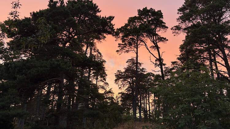 Or have a picnic and watch the sunset