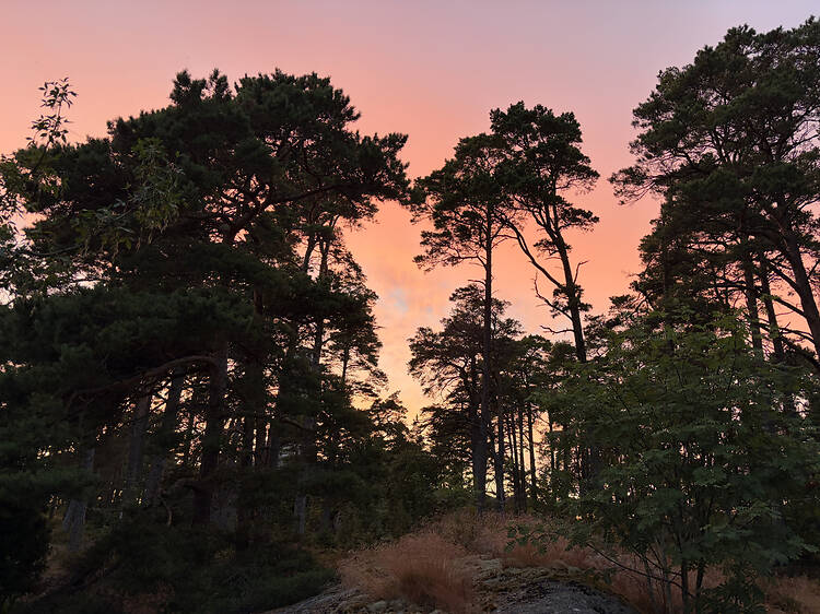 Or have a picnic and watch the sunset