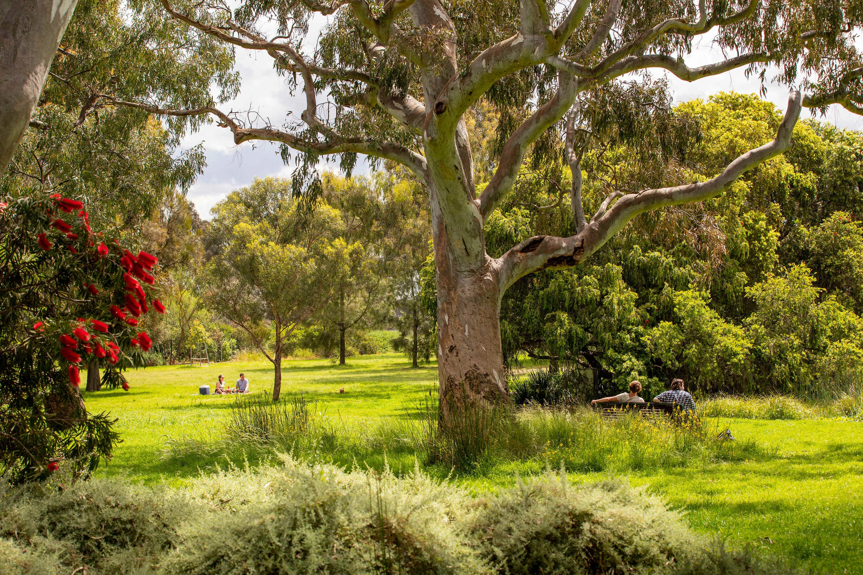 Royal Park Melbourne