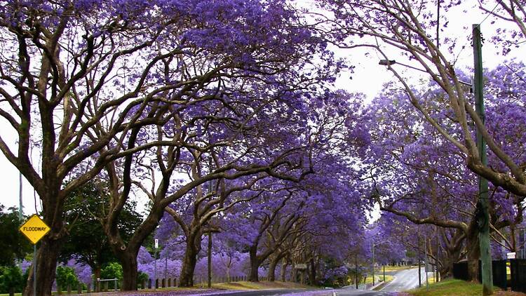 Ipswich, QLD Ipswich, QLD