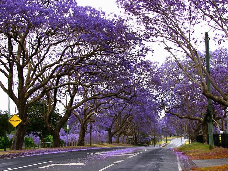 Ipswich, QLD Ipswich, QLD