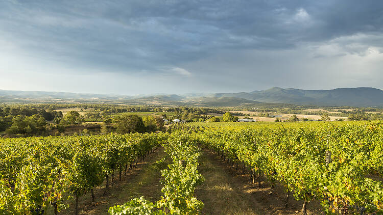 Yarra Valley Yarra Valley