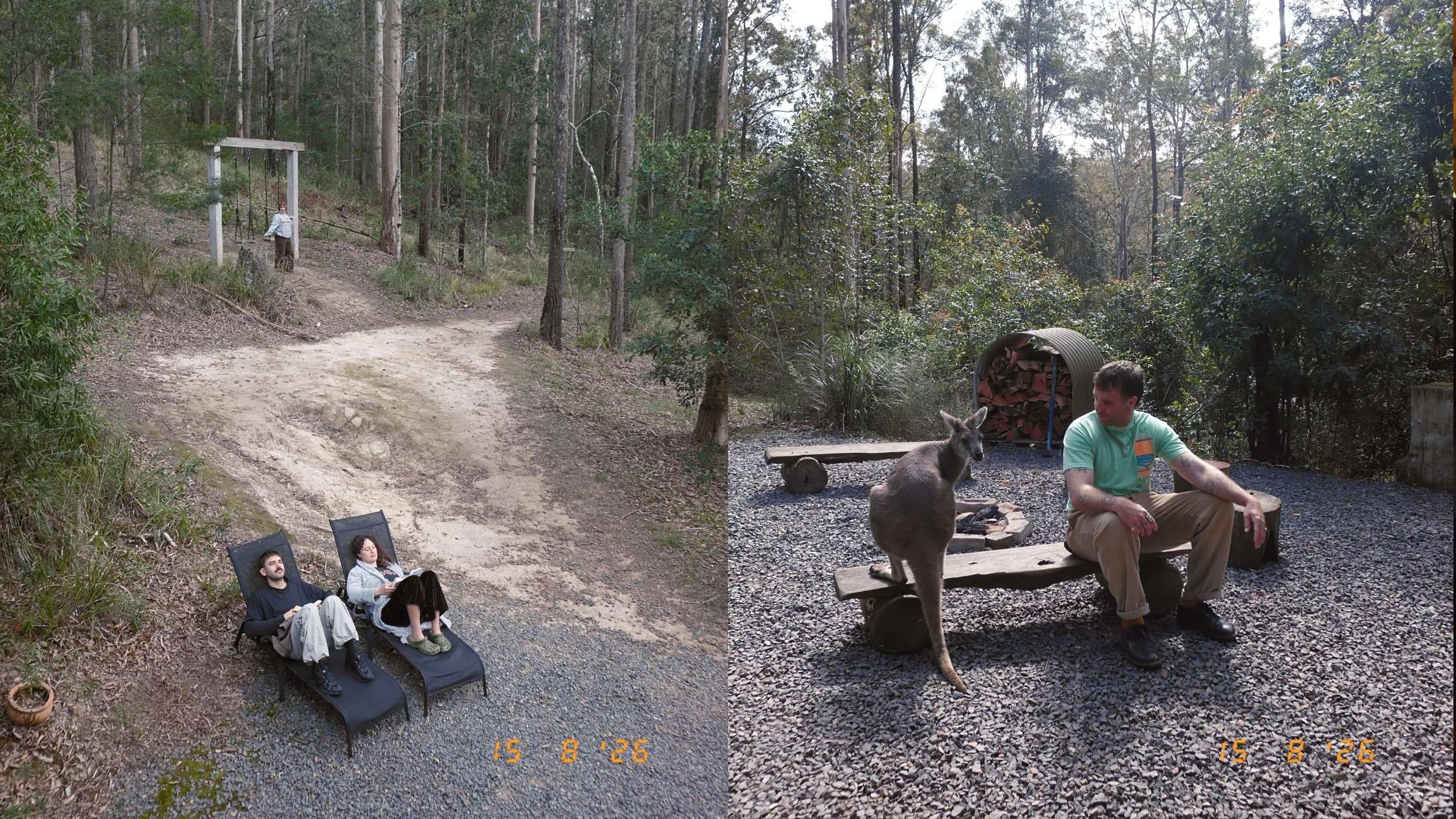 Carawirry Forest Escape