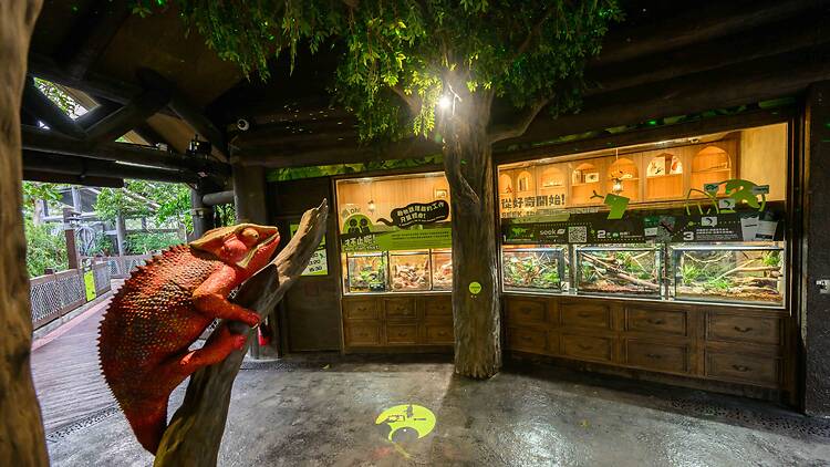 Ocean Park Reptile Territory Ocean Park Reptile Territory