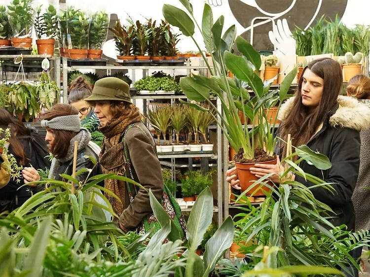 Una pop-up massiva amb 150 espècies de plantes des de 0,99 euros i entrada gratuïta arriba a Barcelona