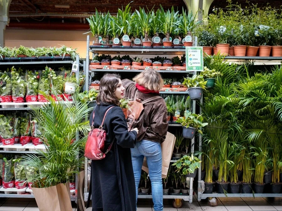 Gran venda de plantes