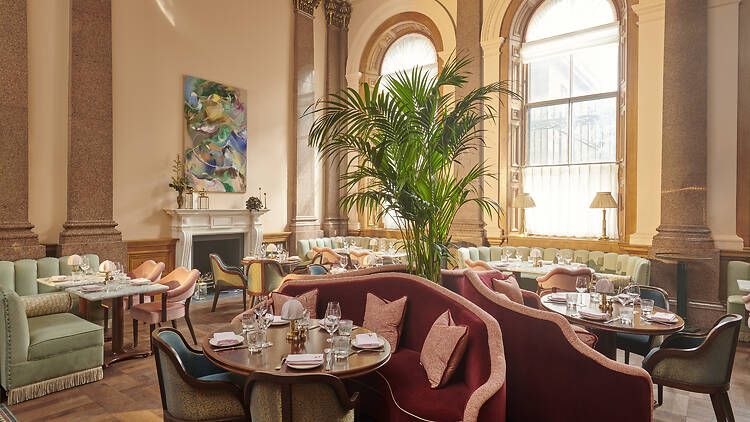 Light-filled dining room at The Spence with a plant in the centre