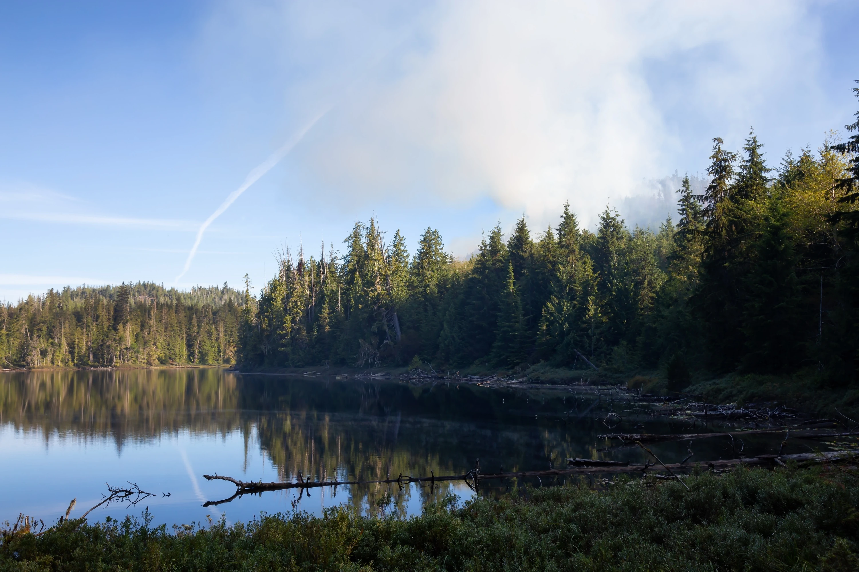 Vancouver Island wildfire