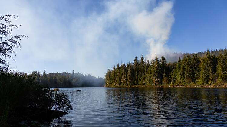 Vancouver Island wildfire Vancouver Island wildfire