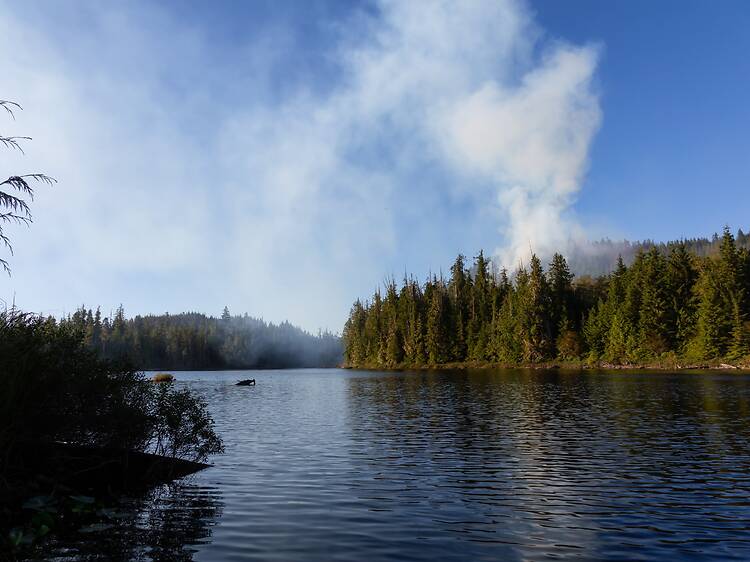 Wildfires are burning across Vancouver Island after a wave of lightning strikes Wildfires are burning across Vancouver Island after a wave of lightning strikes