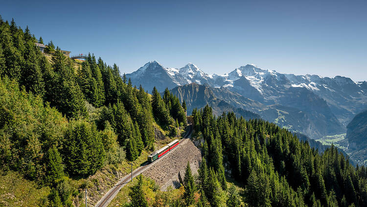 Schynige Platte 