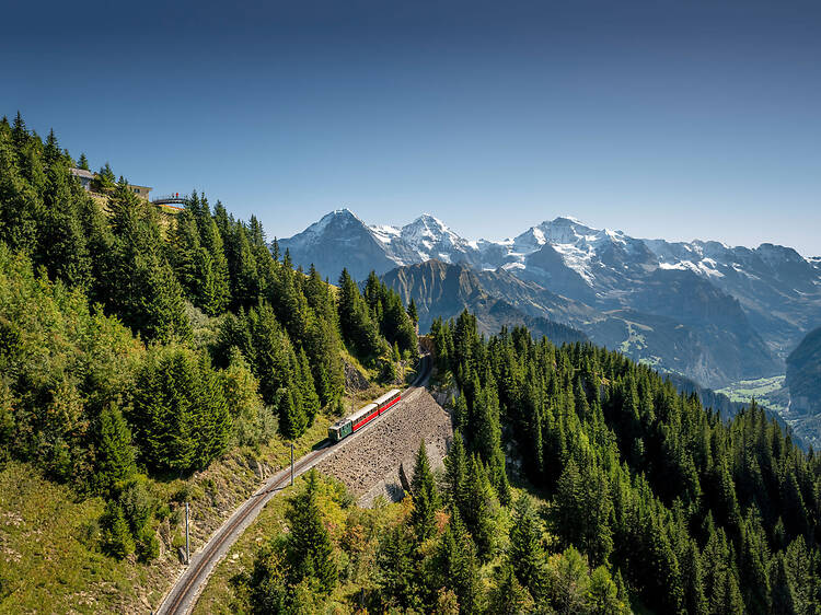 5 reasons Schynige Platte needs to be top of your bucket list