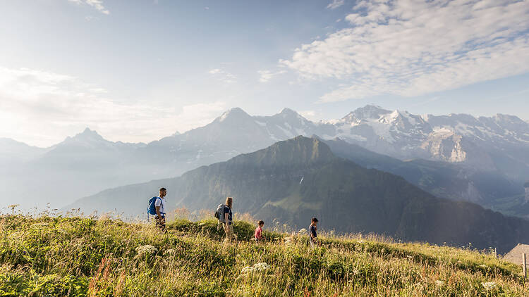 Stretch your legs on Schynige Platte’s adventurous trails and attractions