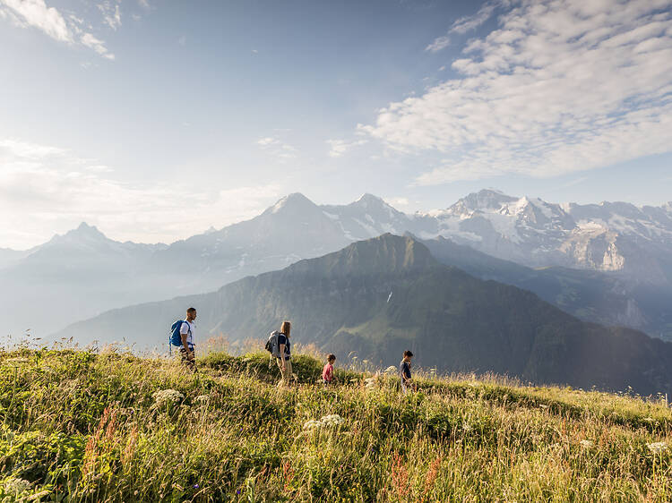 Stretch your legs on Schynige Platte’s adventurous trails and attractions