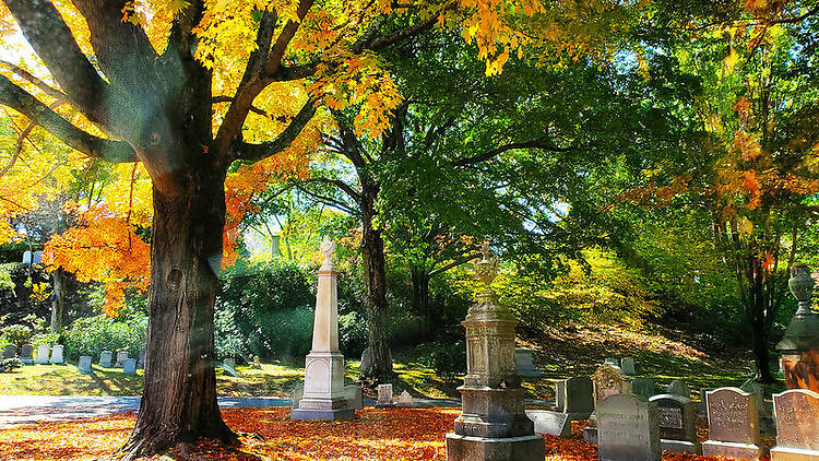 Mount Auburn Cemetery