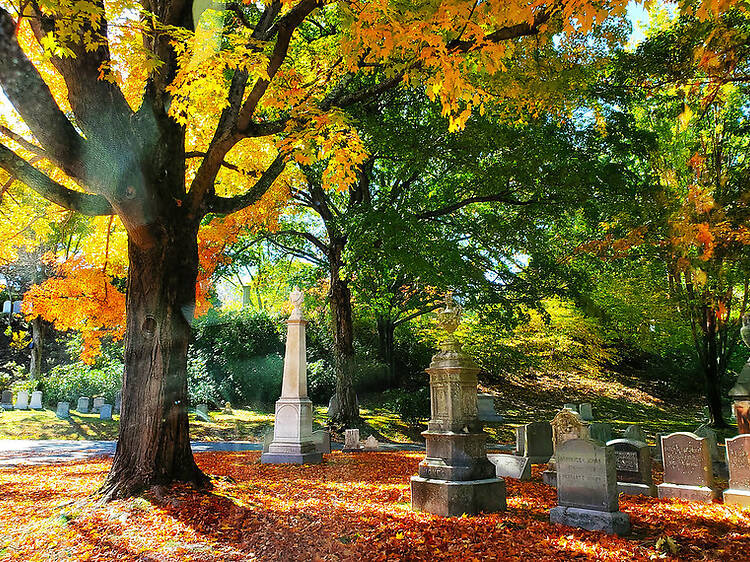 Boston’s best movie theater is hosting outdoor movies in a gorgeous cemetery starting next month