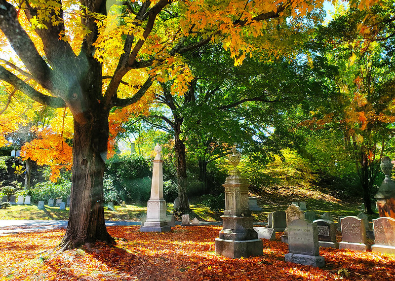 Boston’s best movie theater is hosting outdoor movies in a gorgeous cemetery