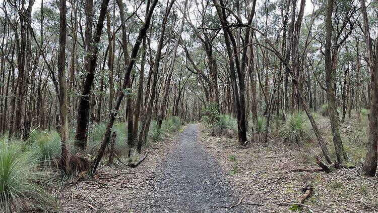 1,000 steps trail 