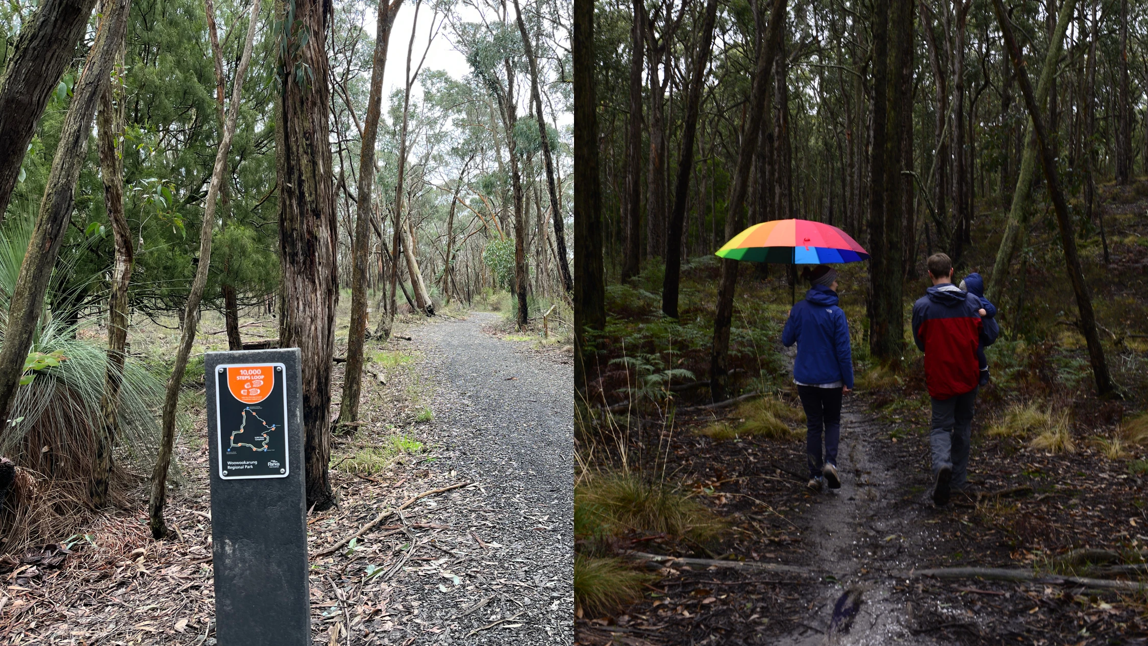 1,000 steps trail 