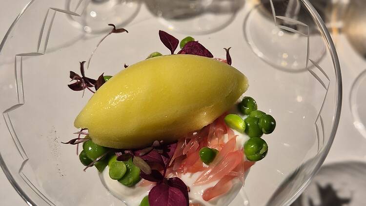The elegantly plated dishes at Farmlore