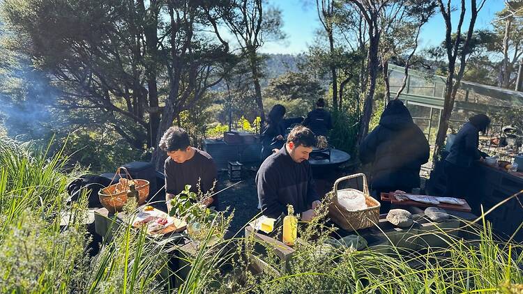 Day 1: Get acquainted with native New Zealand ingredients Day 1: Get acquainted with native New Zealand ingredients
