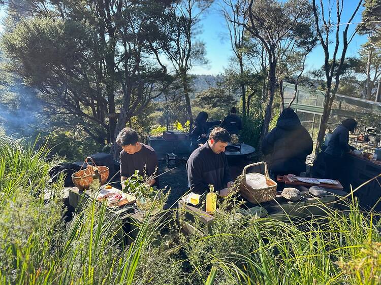 Day 1: Get acquainted with native New Zealand ingredients Day 1: Get acquainted with native New Zealand ingredients