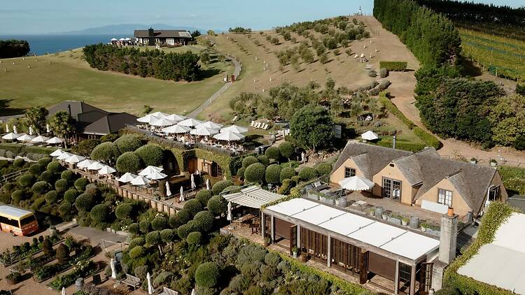 Day 2: Destination dining and vineyards at Waiheke Island Day 2: Destination dining and vineyards at Waiheke Island