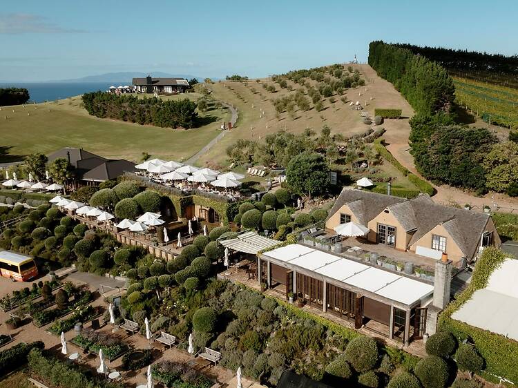 Day 2: Destination dining and vineyards at Waiheke Island Day 2: Destination dining and vineyards at Waiheke Island
