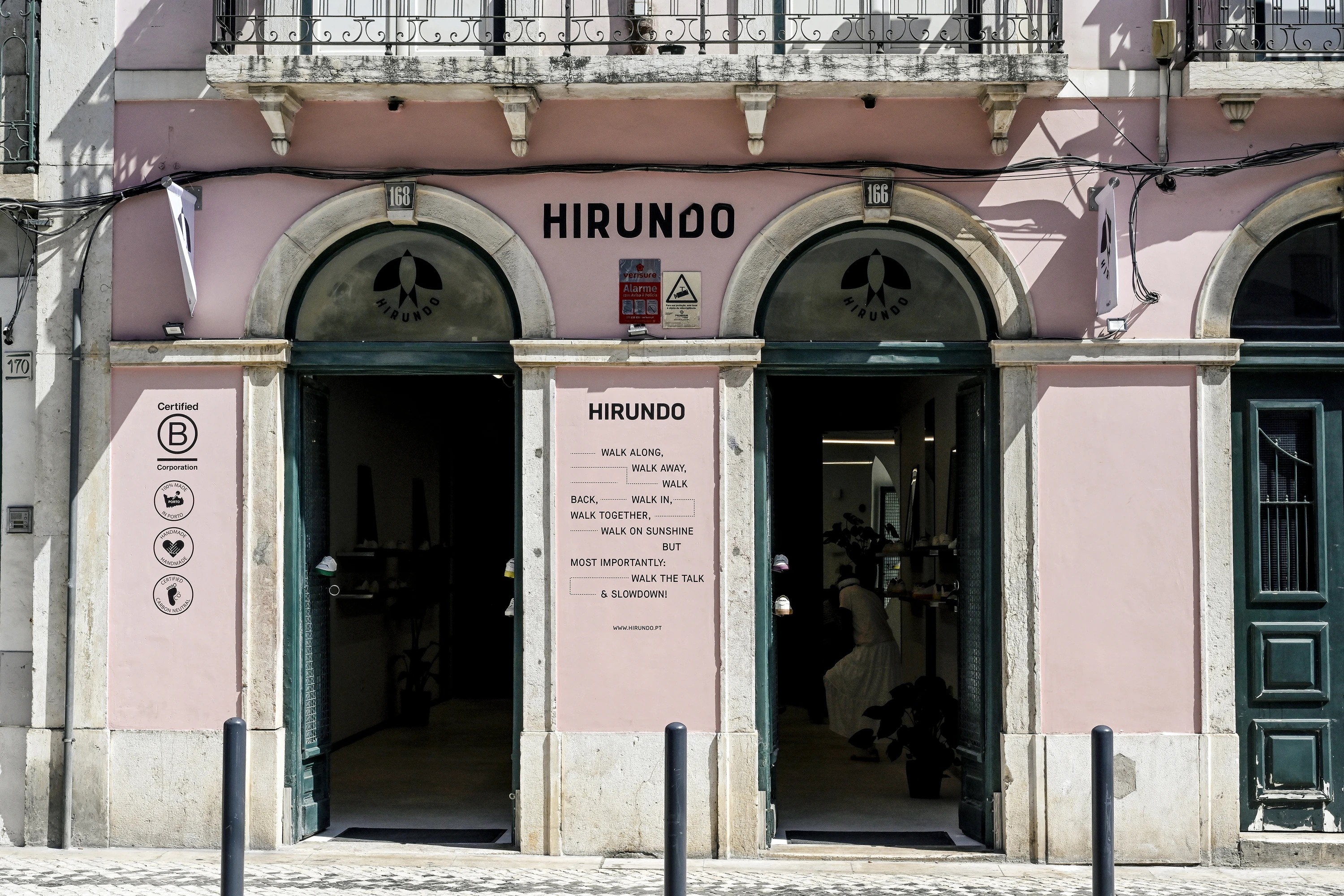 Hirundo