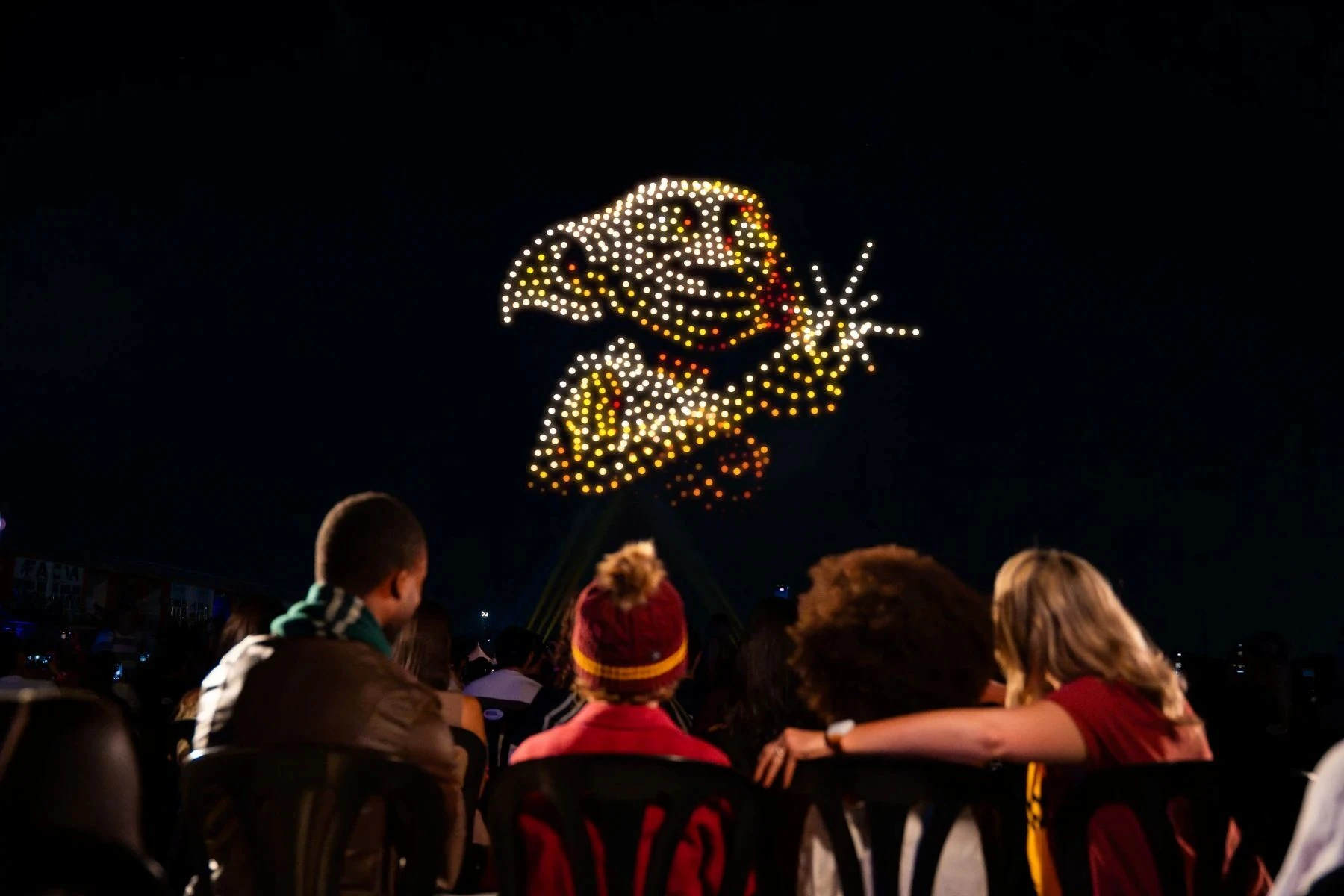 DroneArt Show: Harry Potter. Warner Bros.