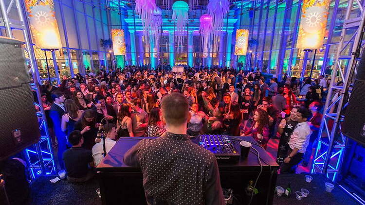 A wide shot of a DJ performing for a crowd at a colorful indoor event. A wide shot of a DJ performing for a crowd at a colorful indoor event.