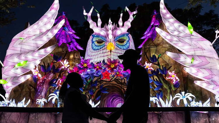 A wide shot of illuminated owl and floral lanterns displayed at a nighttime festival.