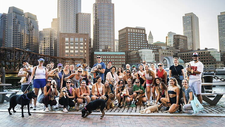 A wide shot of people posing with dogs along a waterfront with a city skyline