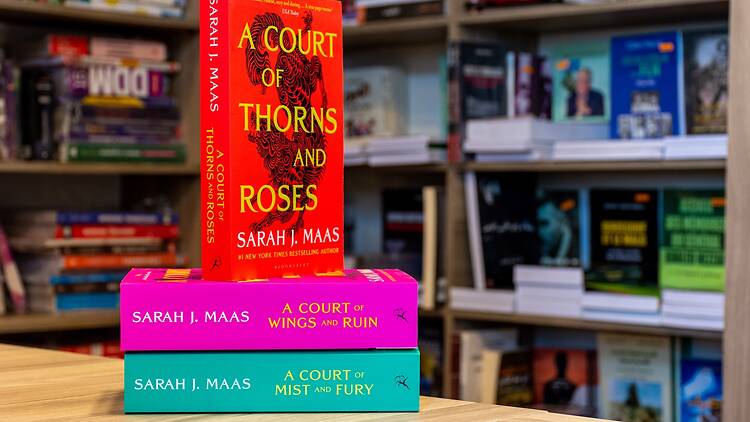 A Court of Thorns and Roses novel series